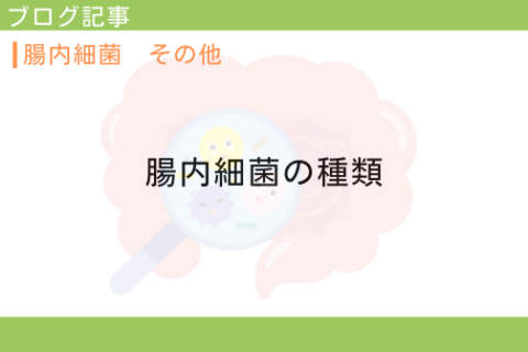 腸内細菌の種類